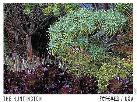 AmericanGardens2020-Pane-v2-BV-v2